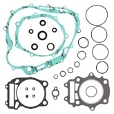 Комплект прокладок двигателя Winderosa 811584