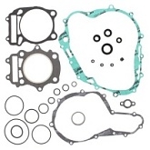 Комплект прокладок двигателя Winderosa 811592