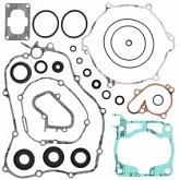 Комплект прокладок двигателя Winderosa 811641