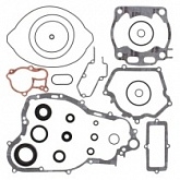 Комплект прокладок двигателя Winderosa 811668
