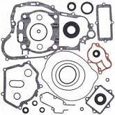 Комплект прокладок двигателя Winderosa 811670