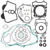 Комплект прокладок двигателя Winderosa 811671