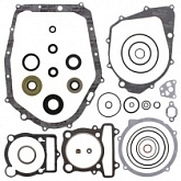 Комплект прокладок двигателя Winderosa 811813