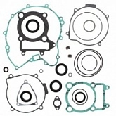 Комплект прокладок двигателя Winderosa 811845