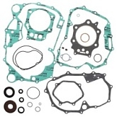 Комплект прокладок двигателя Winderosa 811858