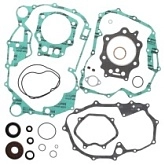 Комплект прокладок двигателя Winderosa 811858