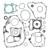 Комплект прокладок двигателя Winderosa 811874