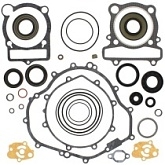 Комплект прокладок двигателя Winderosa 811882