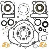 Комплект прокладок двигателя Winderosa 811882