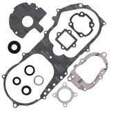 Комплект прокладок двигателя Winderosa 811892