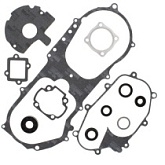Комплект прокладок двигателя Winderosa 811908