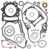 Комплект прокладок двигателя Winderosa 811923