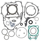 Комплект прокладок двигателя Winderosa 811924