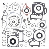 Комплект прокладок двигателя Winderosa 811953