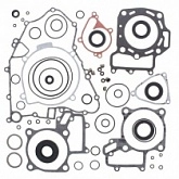 Комплект прокладок двигателя Winderosa 811953