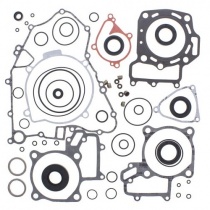 Комплект прокладок двигателя Winderosa 811953