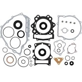 Комплект прокладок двигателя Winderosa 811960