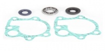 Ремкомплект помпы Bearing Worx WMK30006