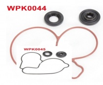 Ремкомплект помпы Bearing Worx WMK70003