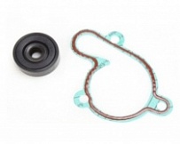 Ремкомплект помпы Bearing Worx WMK90001