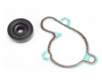 Ремкомплект помпы Bearing Worx WMK90001