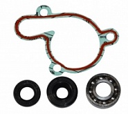 Ремкомплект помпы Bearing Worx WMK90002