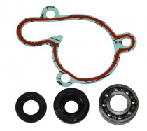 Ремкомплект помпы Bearing Worx WMK90002