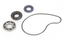 Ремкомплект помпы Bearing Worx WMK90004