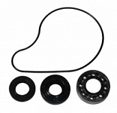 Ремкомплект помпы Bearing Worx WMK90005