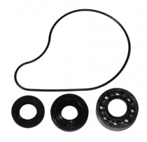 Ремкомплект помпы Bearing Worx WMK90005