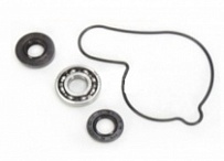 Ремкомплект помпы Bearing Worx WMK90007