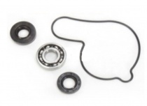 Ремкомплект помпы Bearing Worx WMK90007