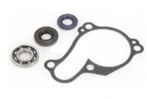 Ремкомплект помпы Bearing Worx WMK90008