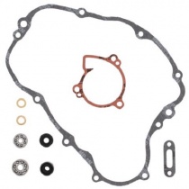 Ремкомплект помпы Winderosa 821440