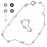 Ремкомплект помпы Winderosa 821482
