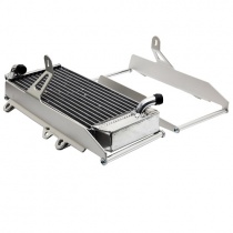 Защиты радиатора Crosspro 2CP060180B0001 Silver