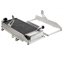 Защиты радиатора Crosspro 2CP060188A0001 Silver