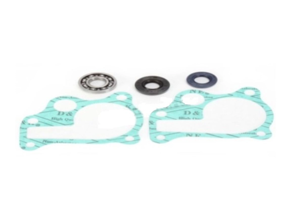 Ремкомплект помпи Bearing Worx WMK30005