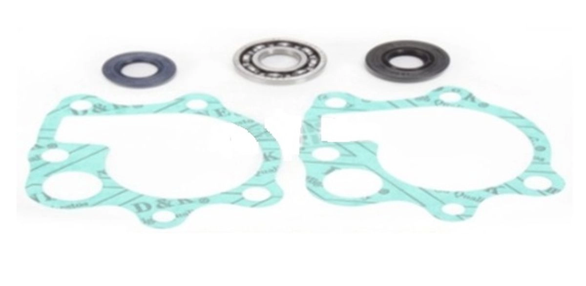 Ремкомплект помпы Bearing Worx WMK30006