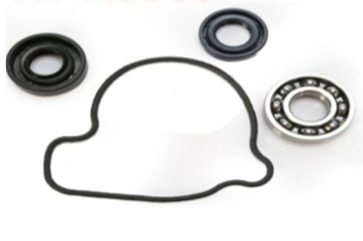 Ремкомплект помпи Bearing Worx WMK30007