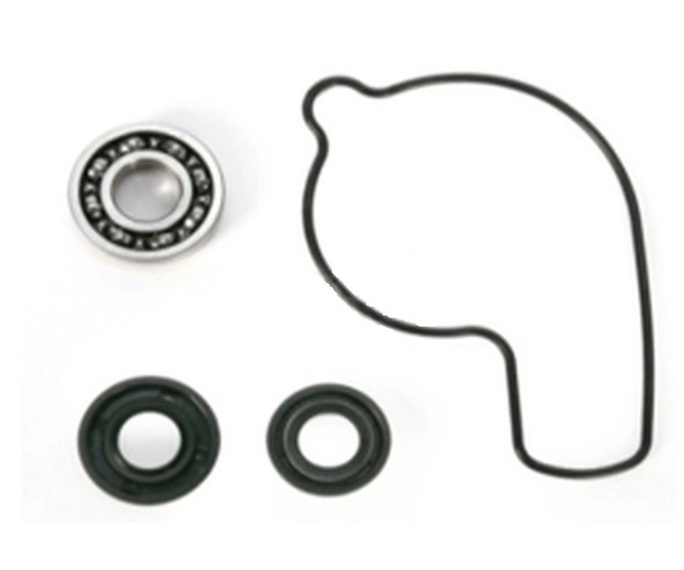 Ремкомплект помпы Bearing Worx WMK30009