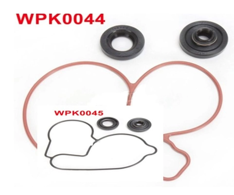 Ремкомплект помпи Bearing Worx WMK70003