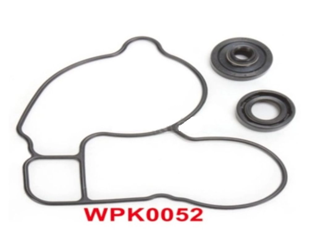 Ремкомплект помпы Bearing Worx WMK70005