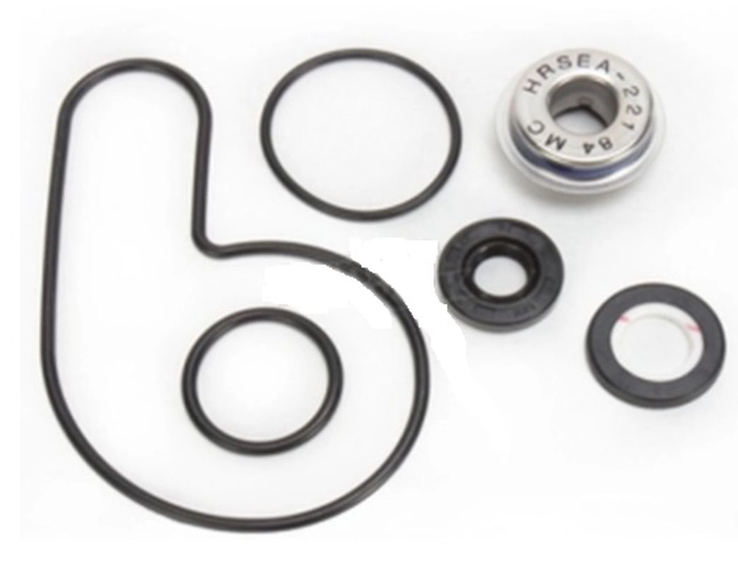 Ремкомплект помпи Bearing Worx WMK70008