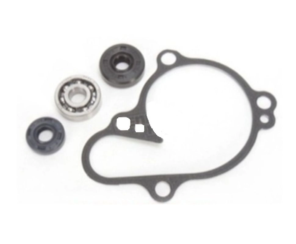 Ремкомплект помпи Bearing Worx WMK90003