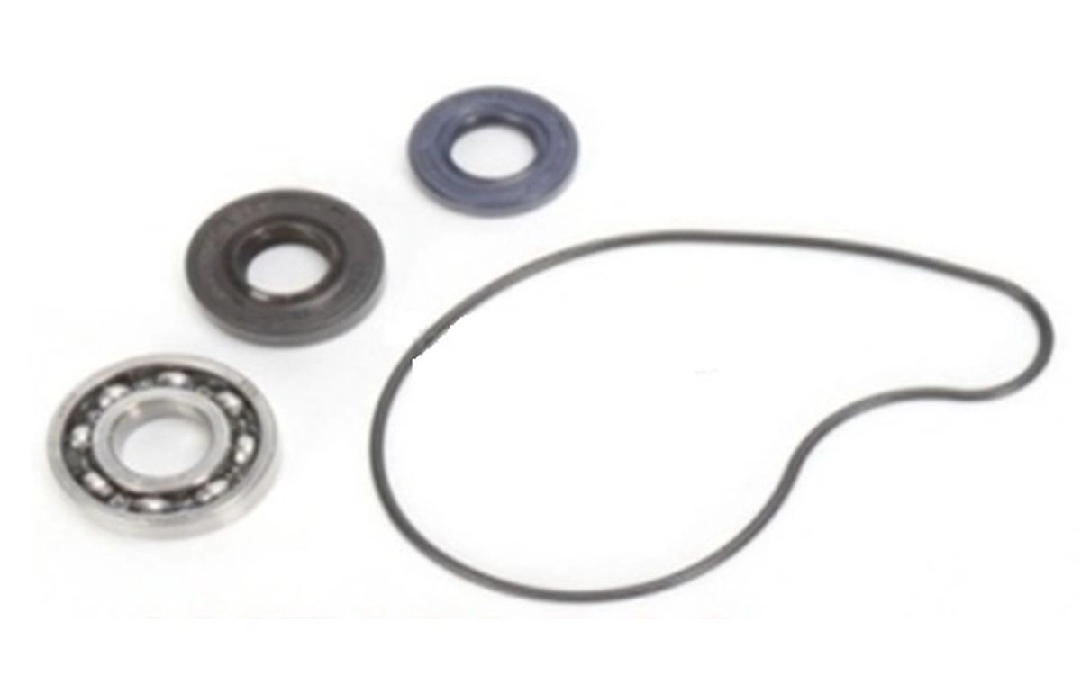 Ремкомплект помпи Bearing Worx WMK90004