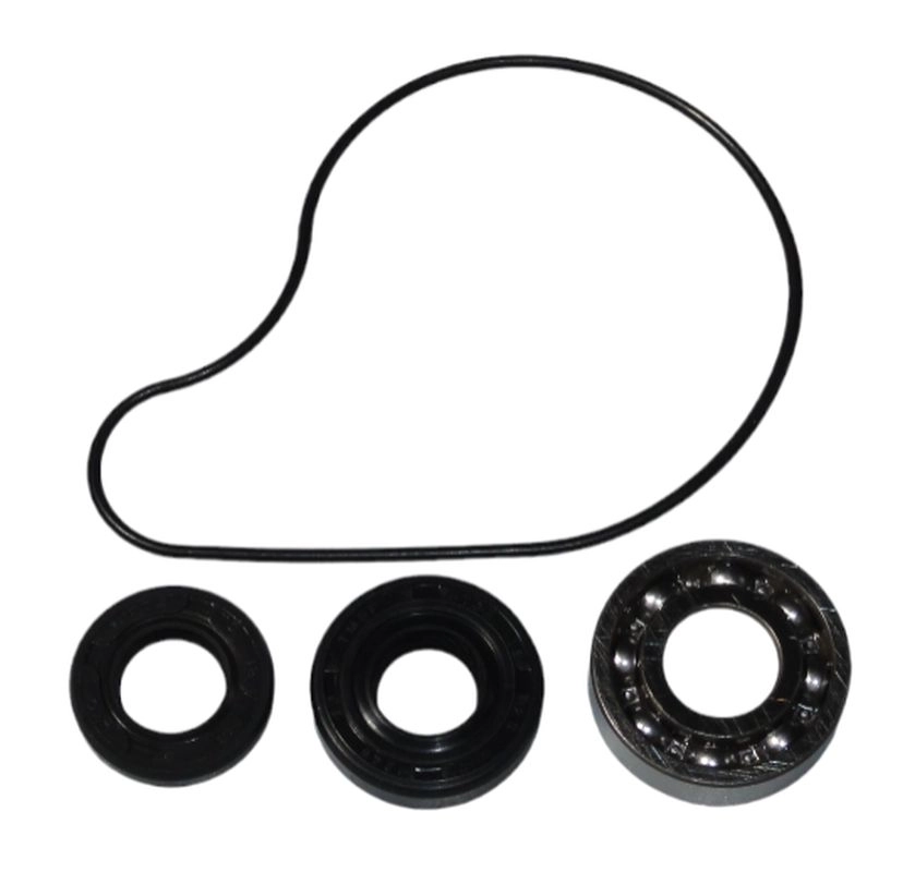 Ремкомплект помпи Bearing Worx WMK90005