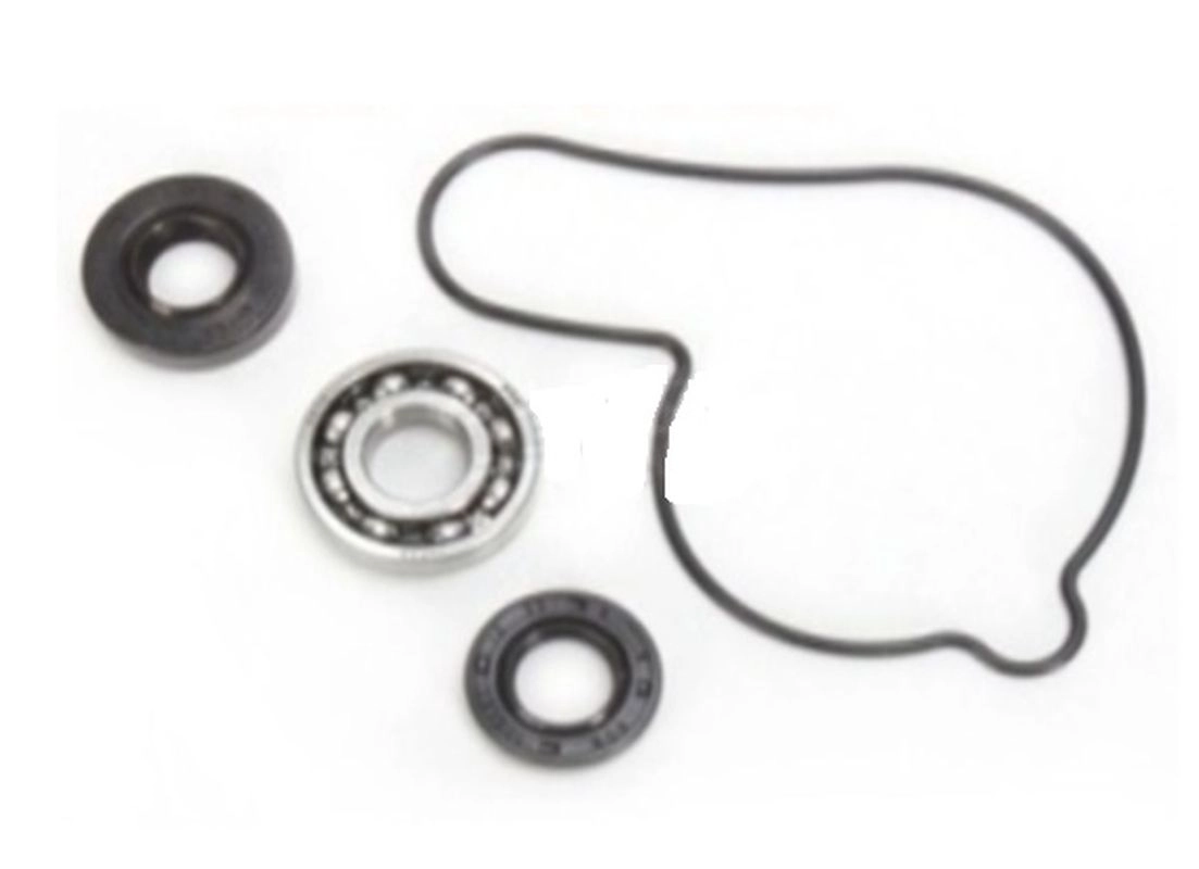 Ремкомплект помпи Bearing Worx WMK90007