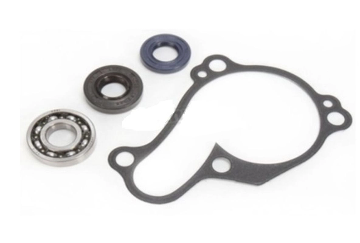Ремкомплект помпи Bearing Worx WMK90008