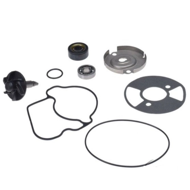 Ремкомплект помпи Motorace AY57276